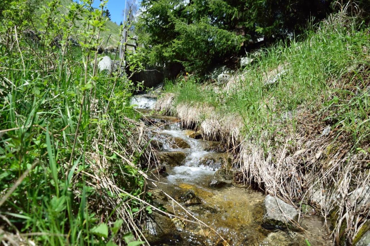 Traterhof-Spinges Villa Rio di Pusteria ภายนอก รูปภาพ