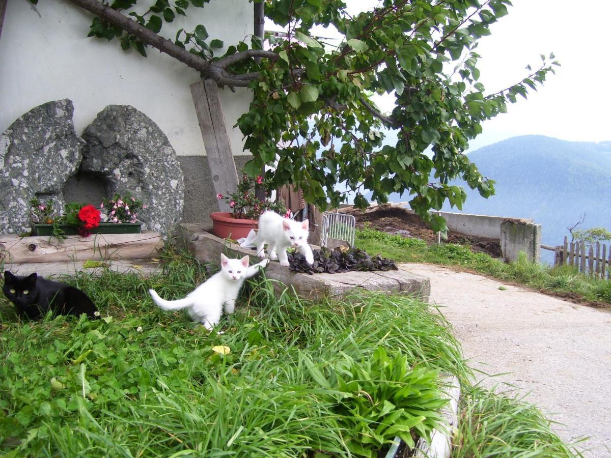 Traterhof-Spinges Villa Rio di Pusteria ภายนอก รูปภาพ